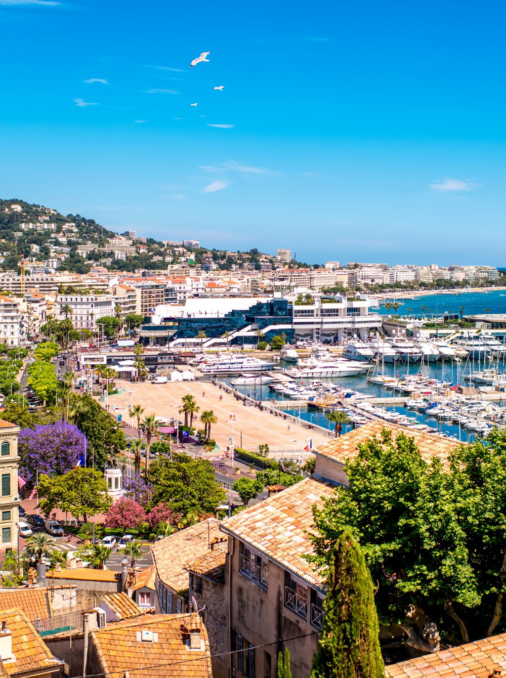 Busy city with harbour next to sea