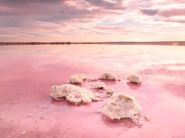 Pink saltwater lagoon of Torrevieja