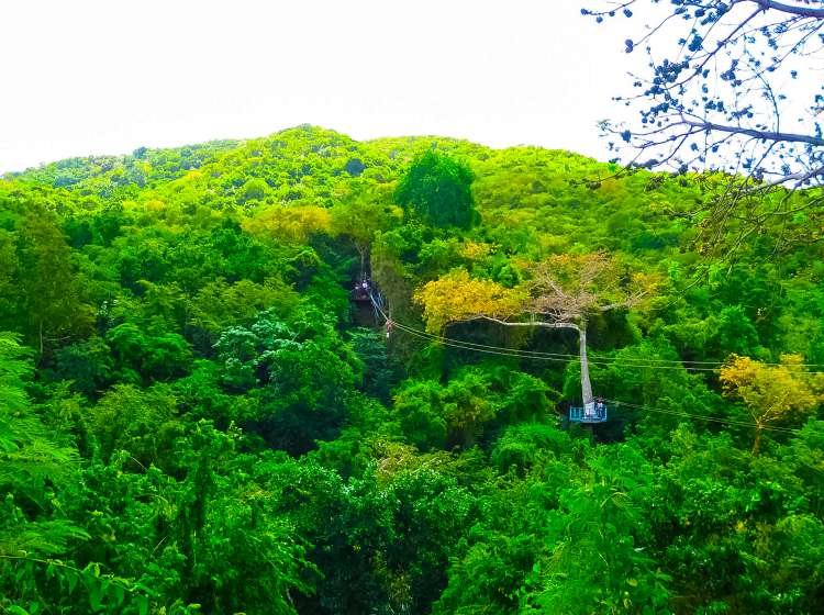 Woman going on a jungle zipline adventure; Shutterstock ID 573014449; Invoice Number: -
