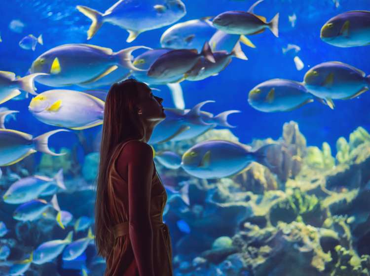 Young woman touches a stingray fish in an oceanarium tunnel.