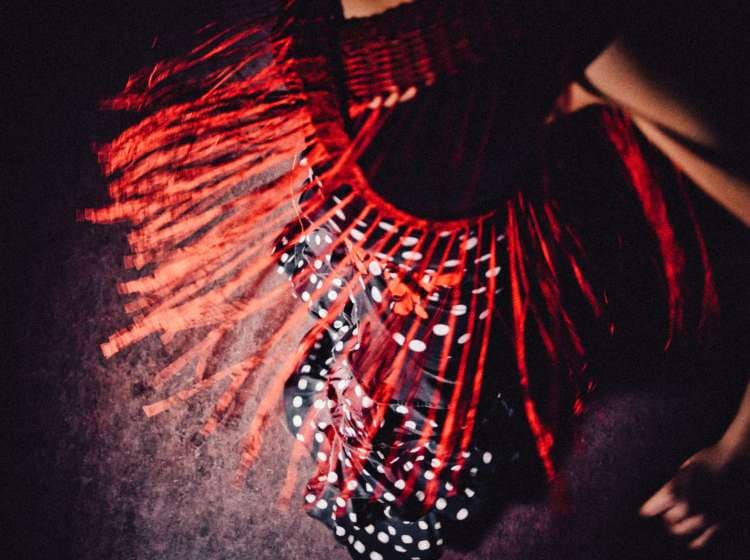 dancer, one young woman only, beauty, dance, fun, flamenco, dancing, vintage, dark, red, abstract, movement,