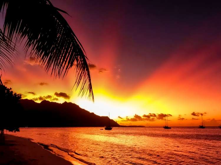 Superb sunset on a beach in the Pacific Ocean, the island of Moorea in French Polynesia. Sky on fire