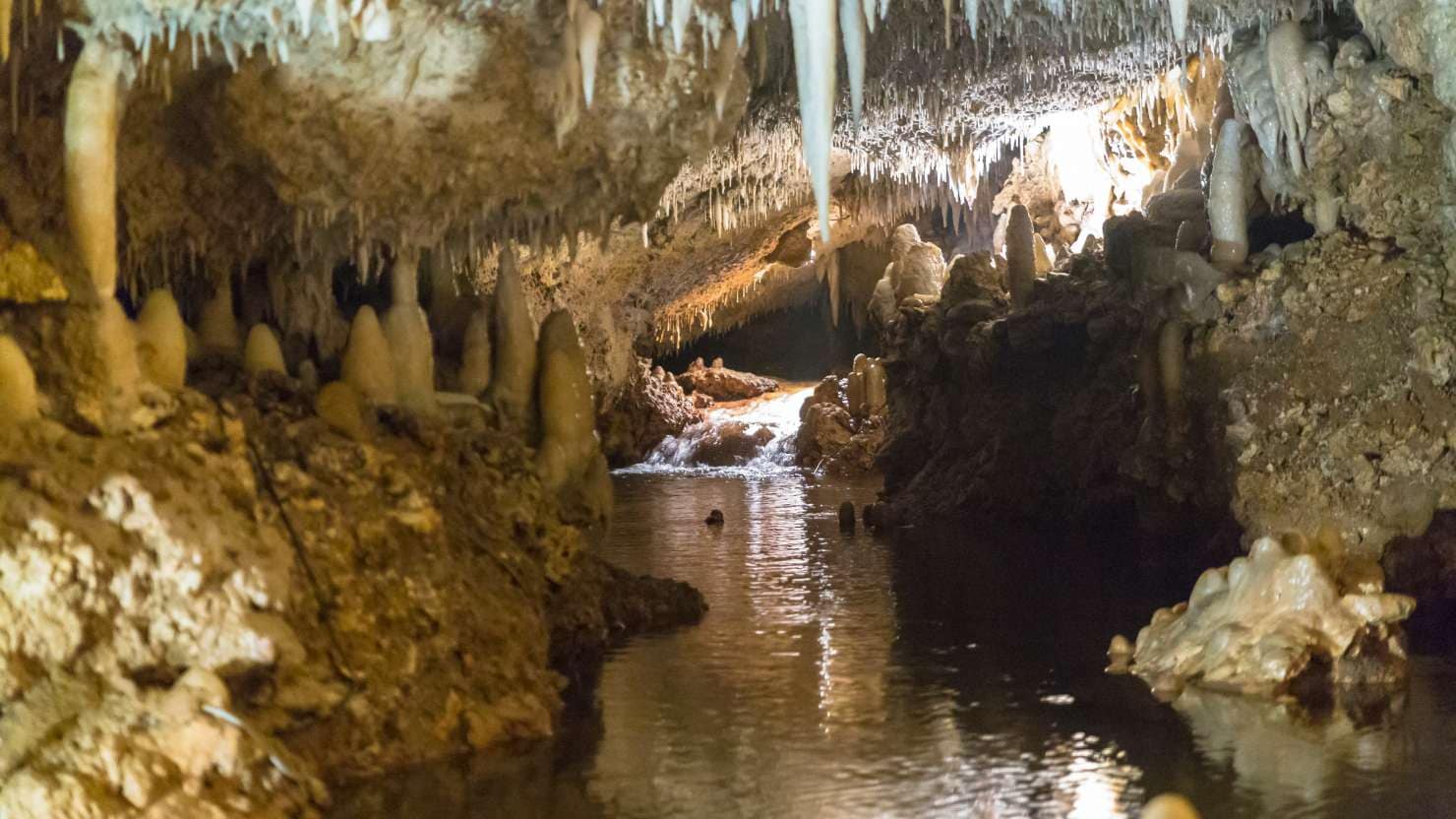 harrisons cave barbados; Shutterstock ID 1167420217; Invoice Number: -