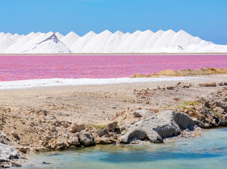 White salt hills with pink salt lake and blue sky on Bonaire. The only export product on this island is the sea salt. This industry extracts the salt from the sea water and then transports it over the whole world.