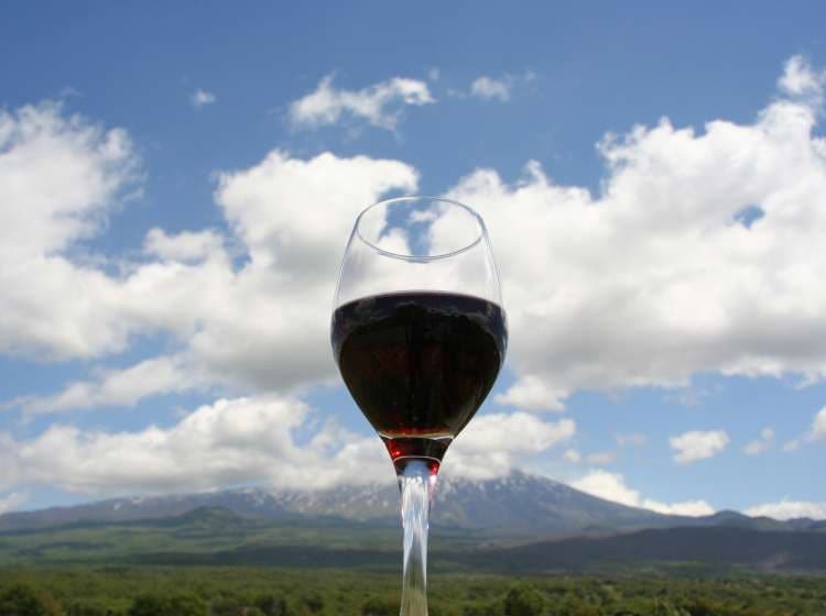 Wine with a view.