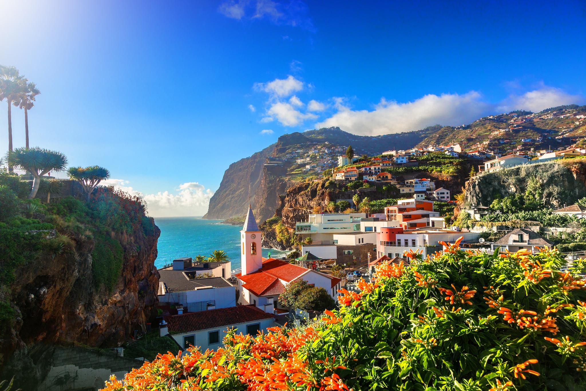 Leisurely Scenes of Madeira