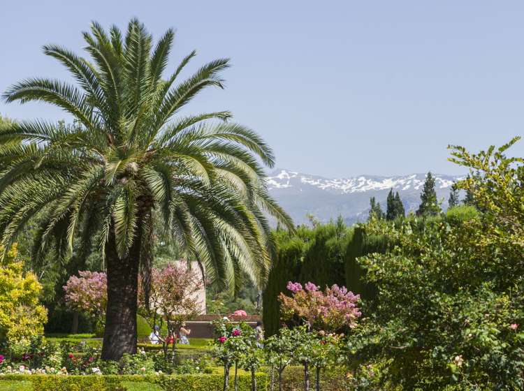 Grenada Gardens - view of Sierra Nevada mountains, Spain; Shutterstock ID 704696716; Invoice Number: -
