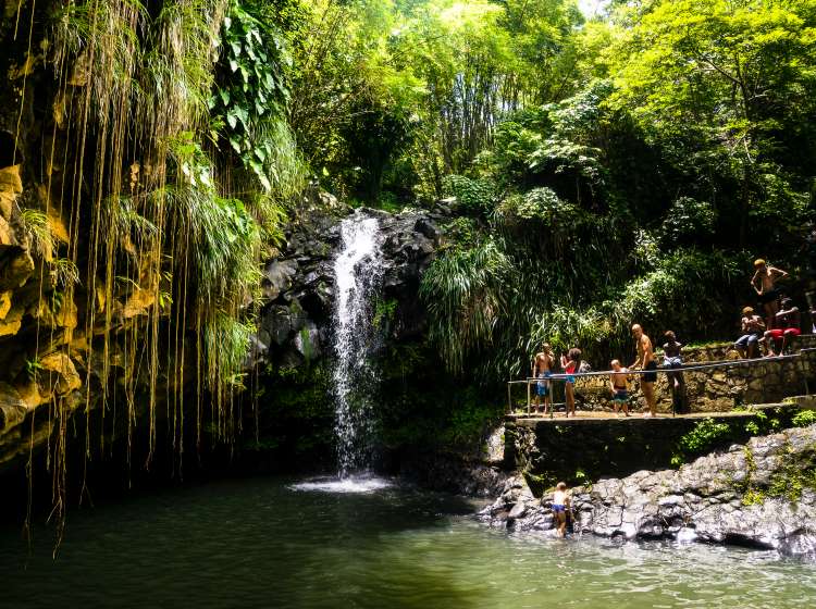 Groupe de personnes devant la cascade d'Annandale, Grenade, West Indies / A group of persons in front of the Annandale Falls, Grenada, West Indies