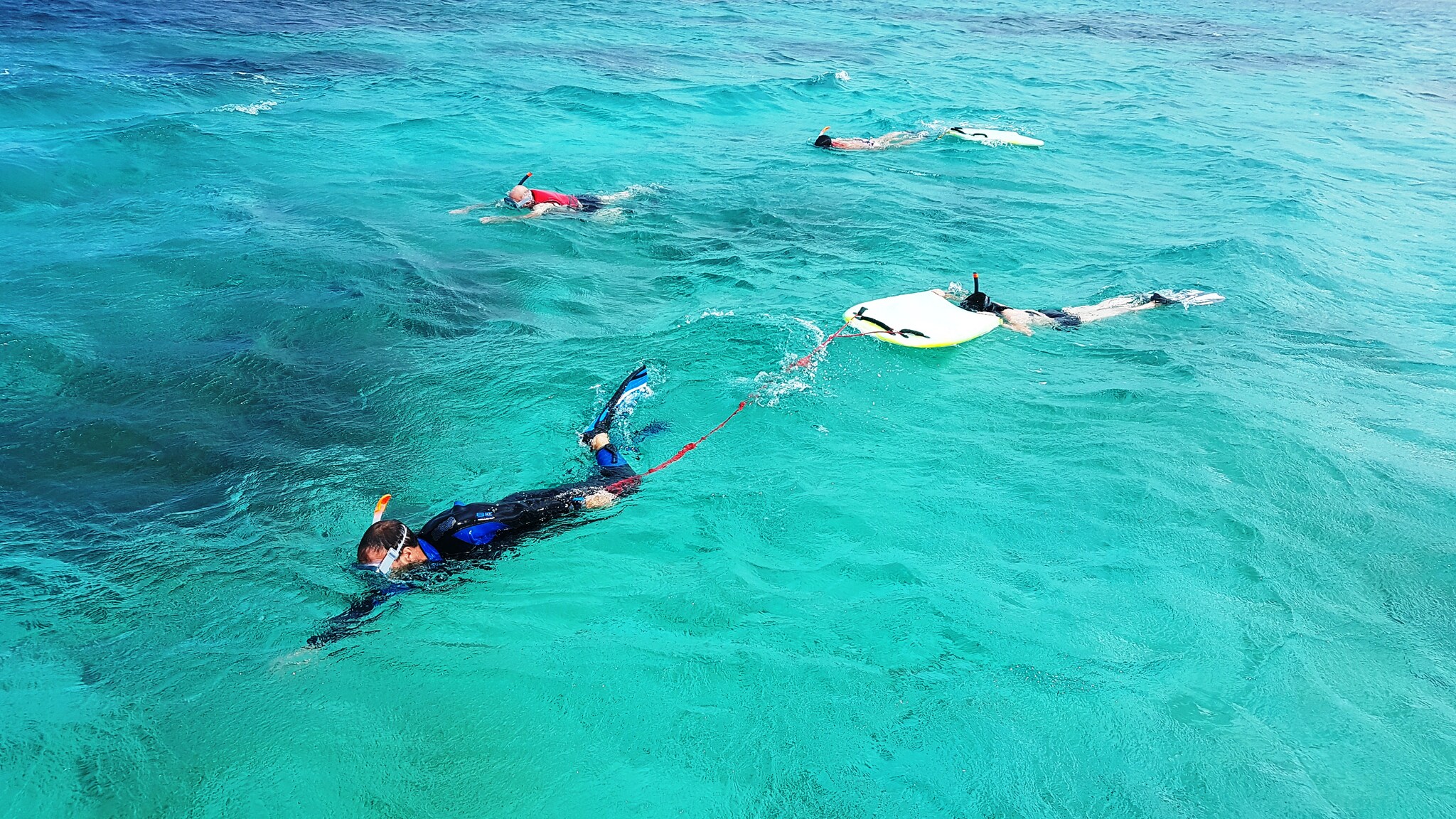 Sea Safari and Marine Reserve Snorkel