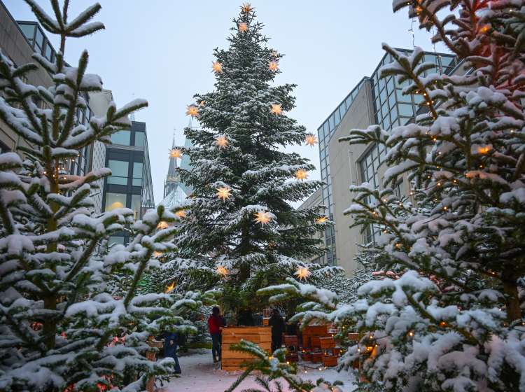 Large Christmas tree with decoration from white shining stars and a bar for mulled wine underneath in the city of Lubeck, Germany on a snowy winter day, copy space, selected focus