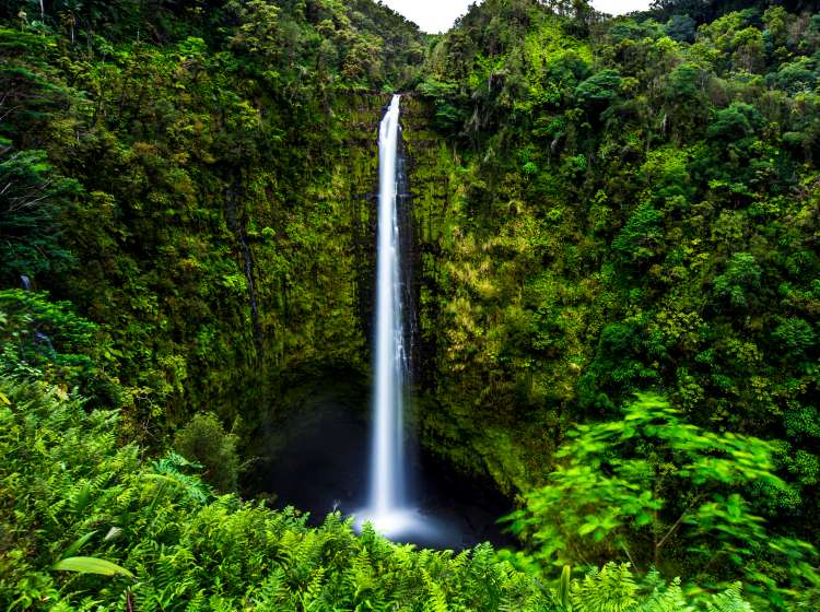 The 422 feet tall Akaka falls is a spectacular sight near Hilo on Big Island, Hawaii