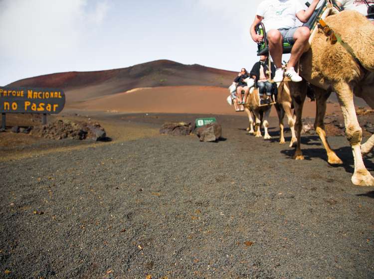 Trip to the volcanic island of Lanzarote in the Canary Islands.