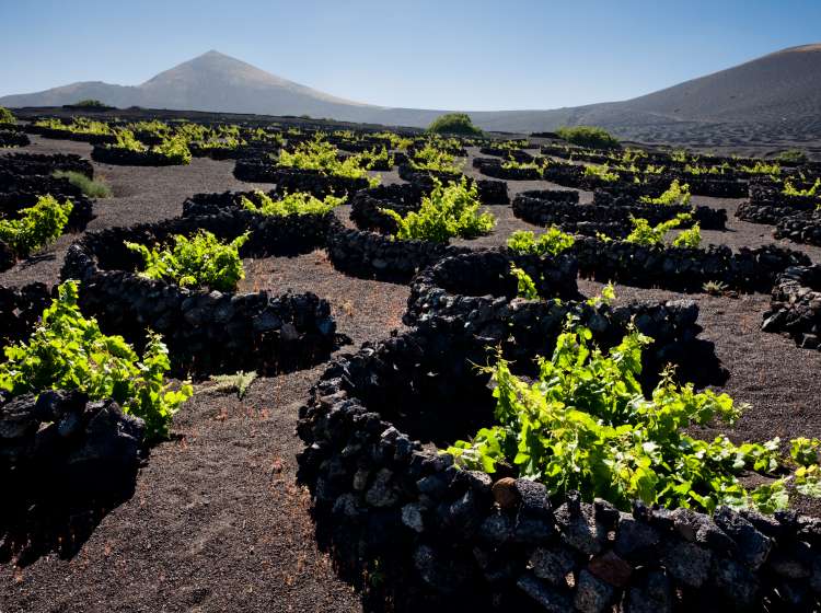 Lanzarote Island, Canary Islands, Spain