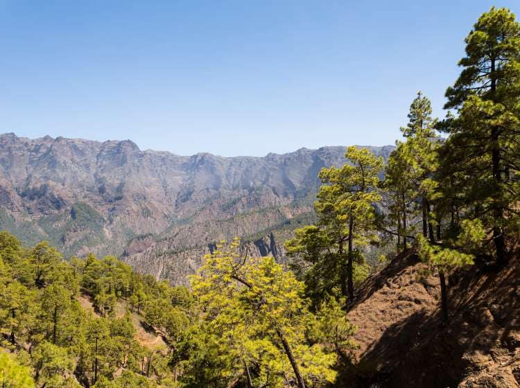 Inside the beautiful Caldera de Taburiente National Park at the island of La Palma.; Shutterstock ID 767040160; Invoice Number: -