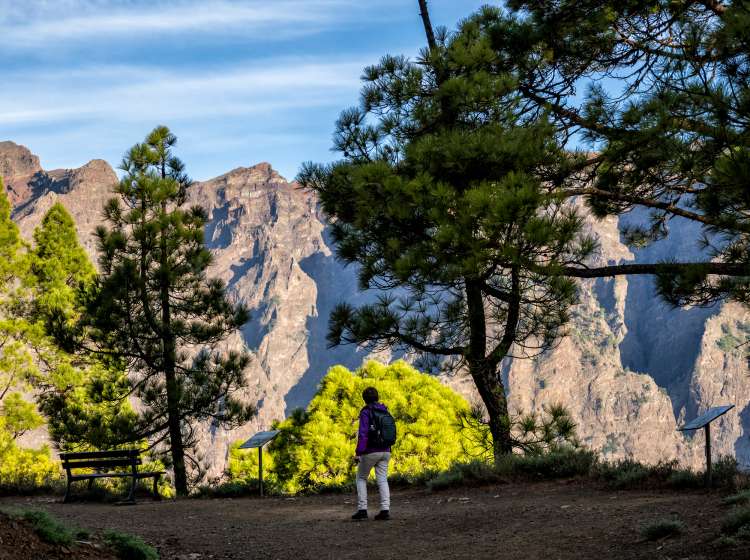 Mountain path inside the Caldera de Taburiente National Park, viewpoint route La Cumbrecita viewpoint, Las Chozas viewpoint and Los Roques viewpoint. island of La Palma, Canary Islands, Spain. Europe.