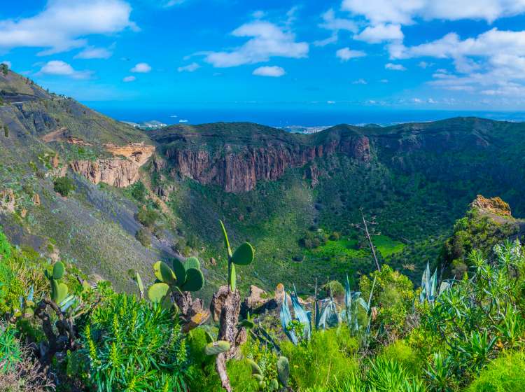Caledra de Bandama at Gran Canaria, Canary Islands, Spain.