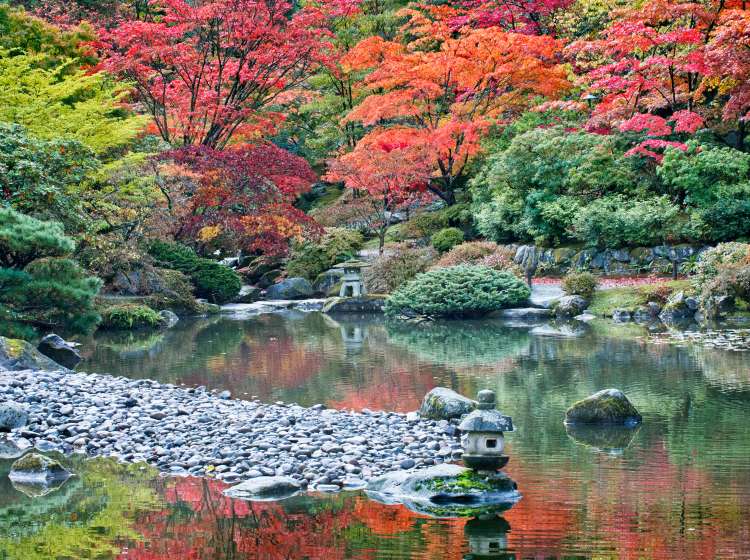 USA, WA, Seattle, Arboretum Japanese Garden