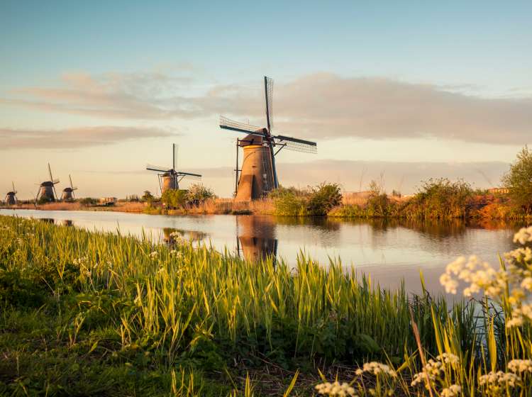 Famous group of windmills in Kinderdijk, Netherlands.