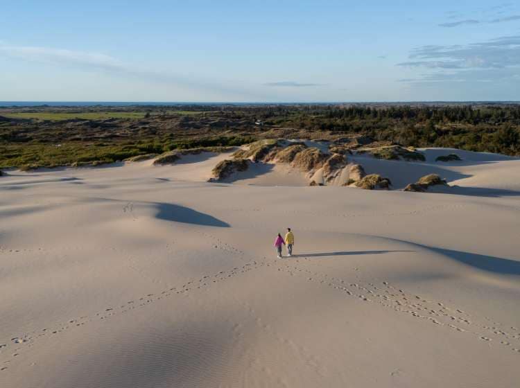 Two individuals stroll hand in hand across the stunning white sand dunes in Denmark. The vast landscape showcases rolling hills and a clear blue sky, Rabjerg Mile Dunes, Denmark.