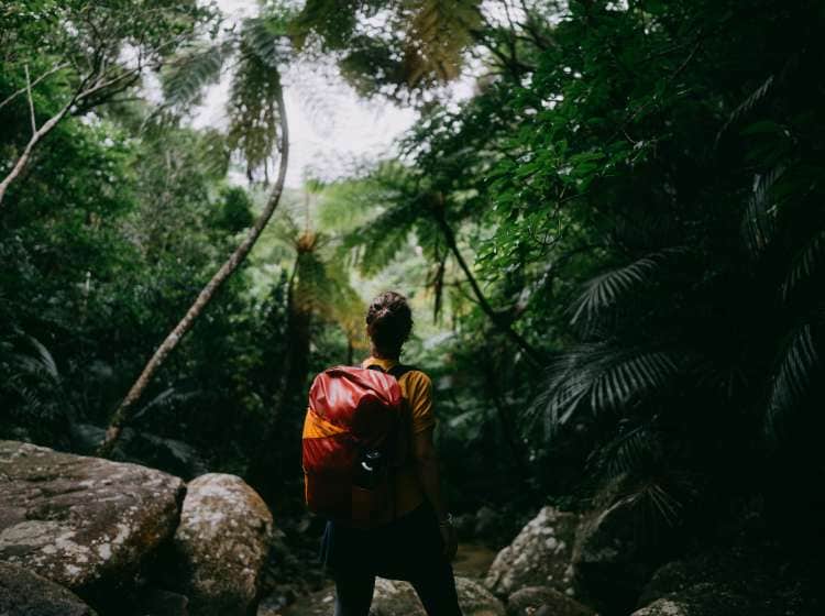 Rear view of woman in tropical rainforest, Iriomote-Ishigaki National Park of the Yaeyama Islands, Okinawa, Japan