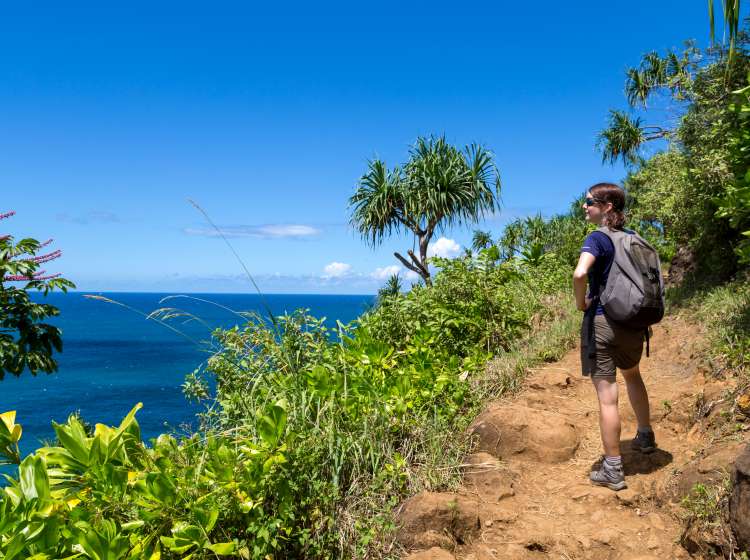 Picture of the famous Kalalau Trail on the island of Kauai, Hawaii. A woman hiker is walking on the trail. There is some plants, trees and flowers in the foreground. The pacific ocean, the mountains and the blue sky with few clouds in the background. 