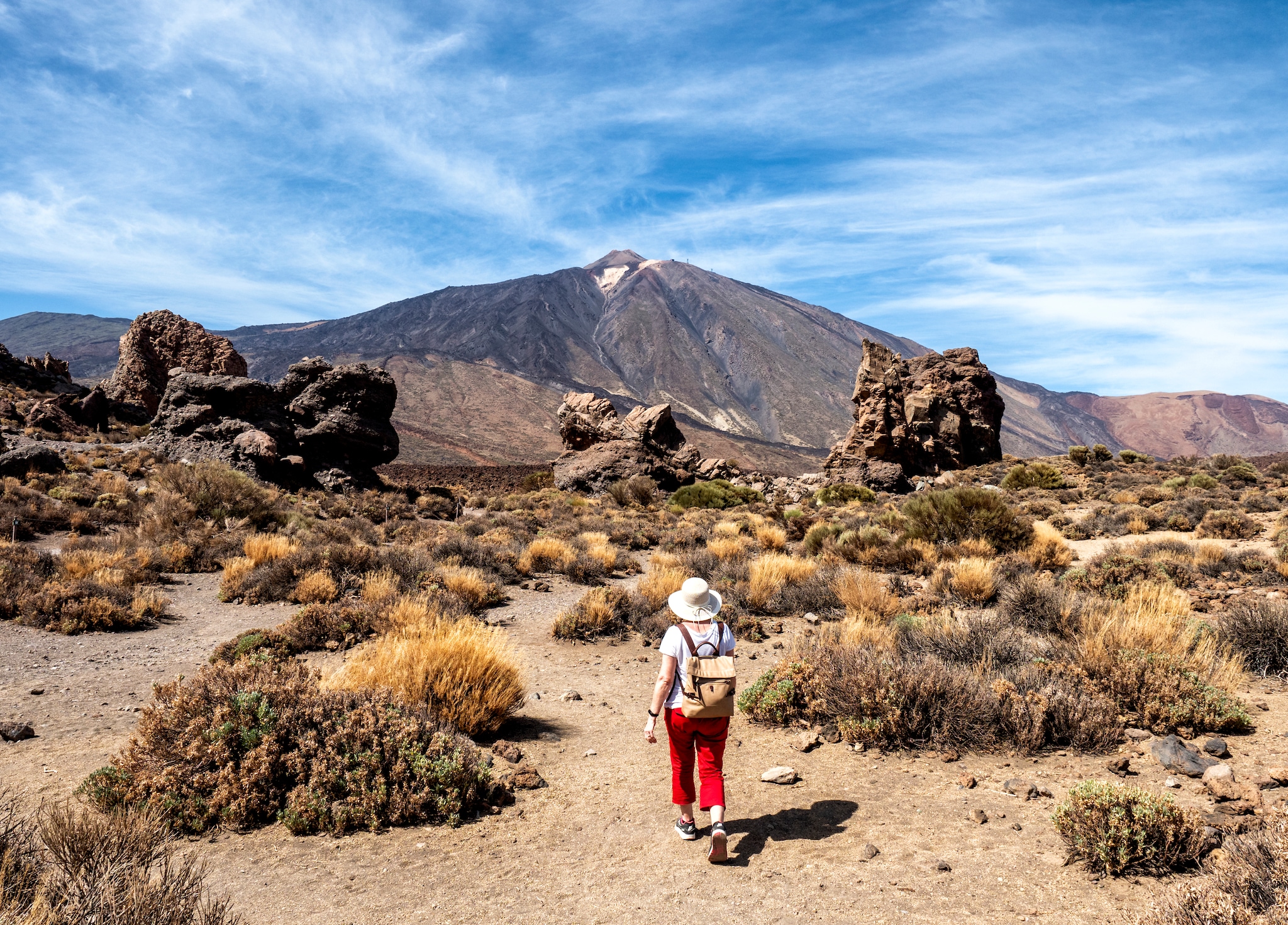Teide Excursion Teide National Park Hike