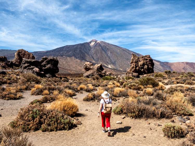 Mountain trail in the Teide national park in Tenerife, Canary Islands, Spain. Europe.