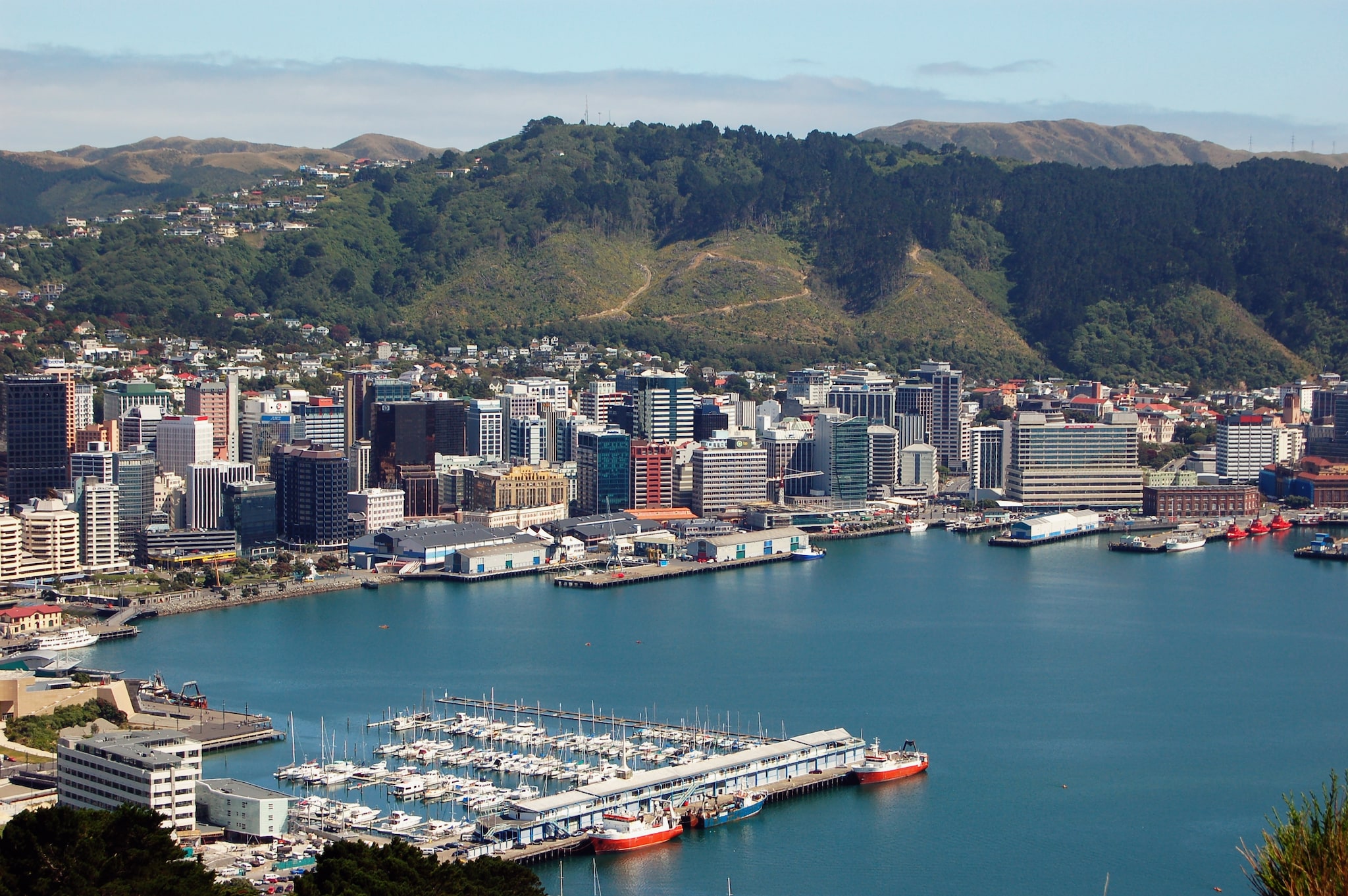 WLG_003.jpg