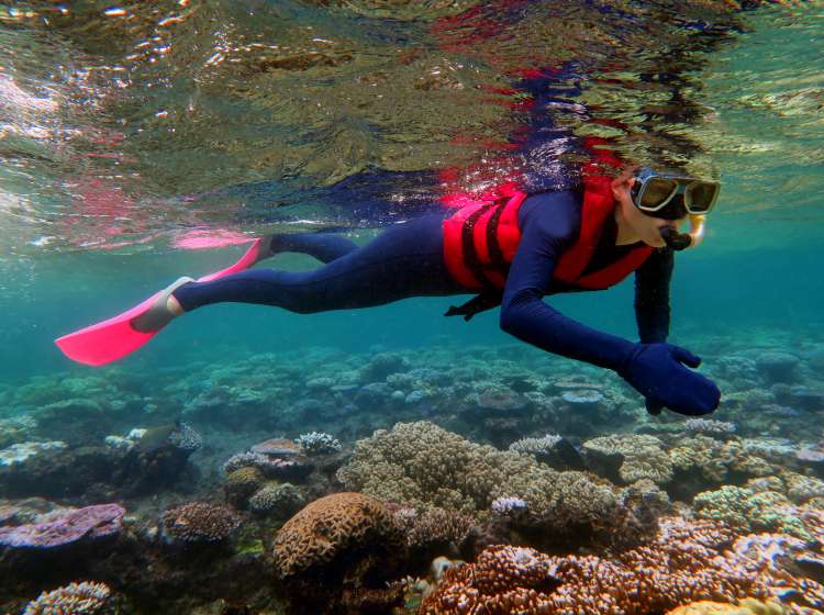 Woman snorkeling in the Great Barrier Reef in Queensland, Australia; Shutterstock ID 760803388; Invoice Number: -