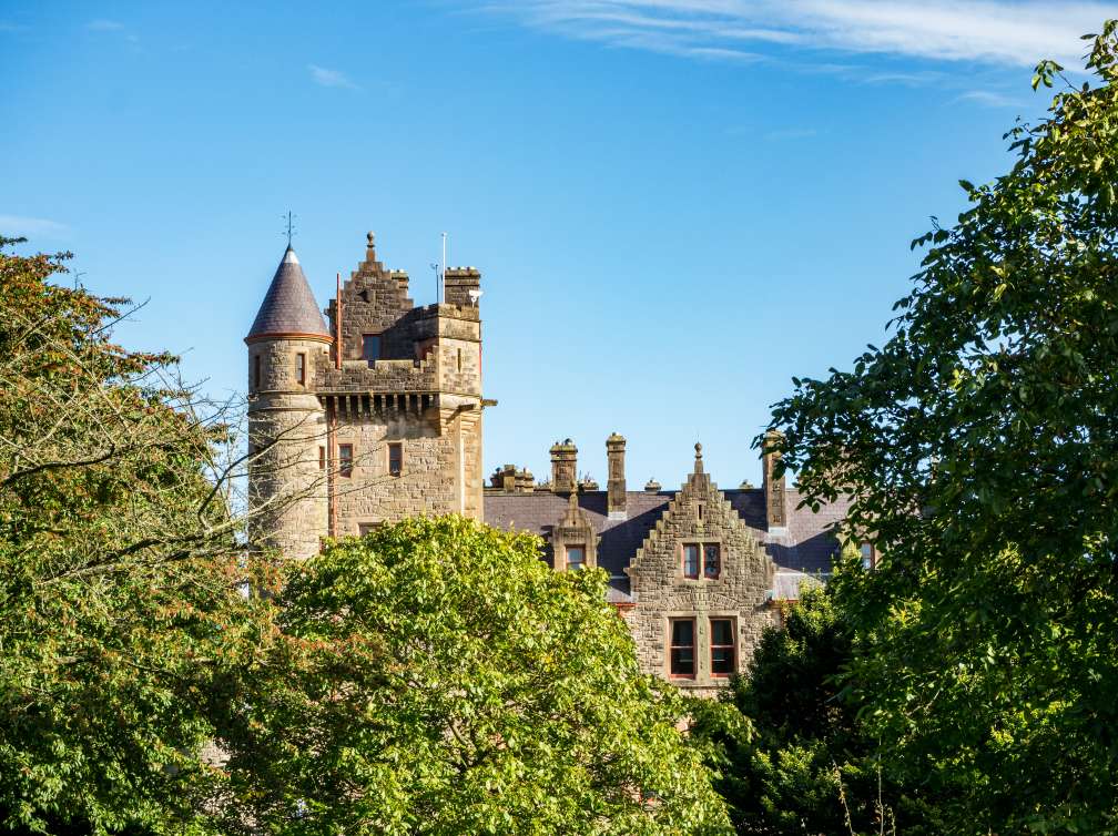 The top of a castle surrounded by trees