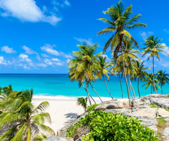 Caribbean Christmas 2022 Book A Cruise | Search Cruise Holidays | P&O Cruises