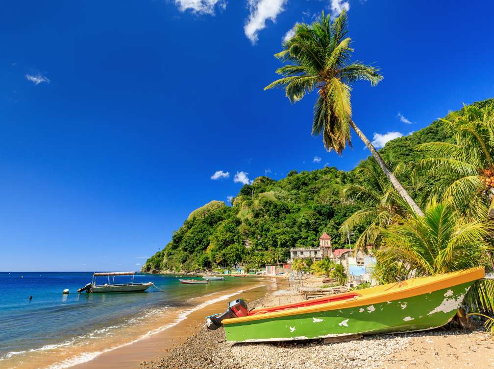 Boat on beach surrounded by palm trees in Dominican Republic