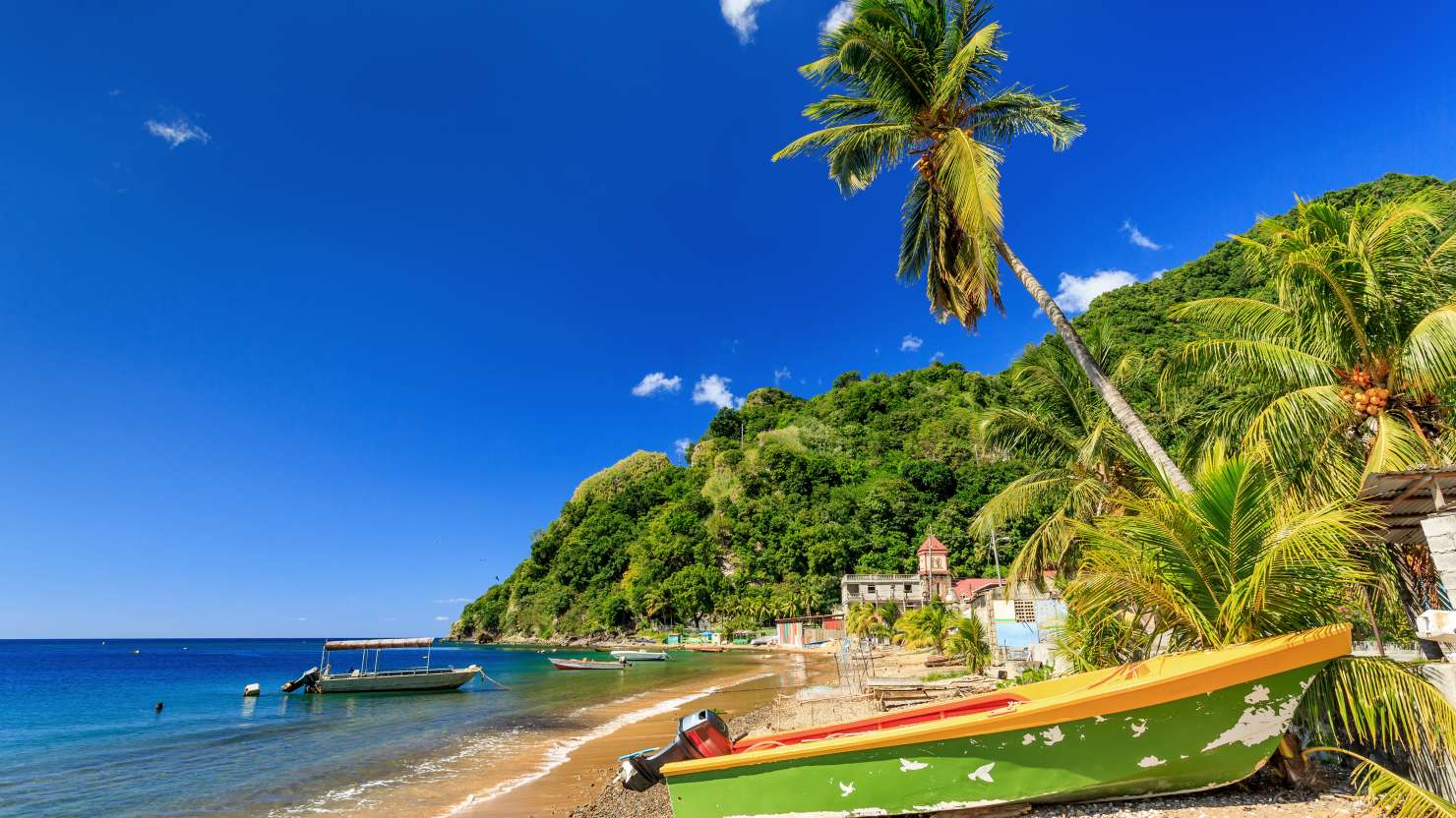 Boat on beach surrounded by palm trees in Dominican Republic