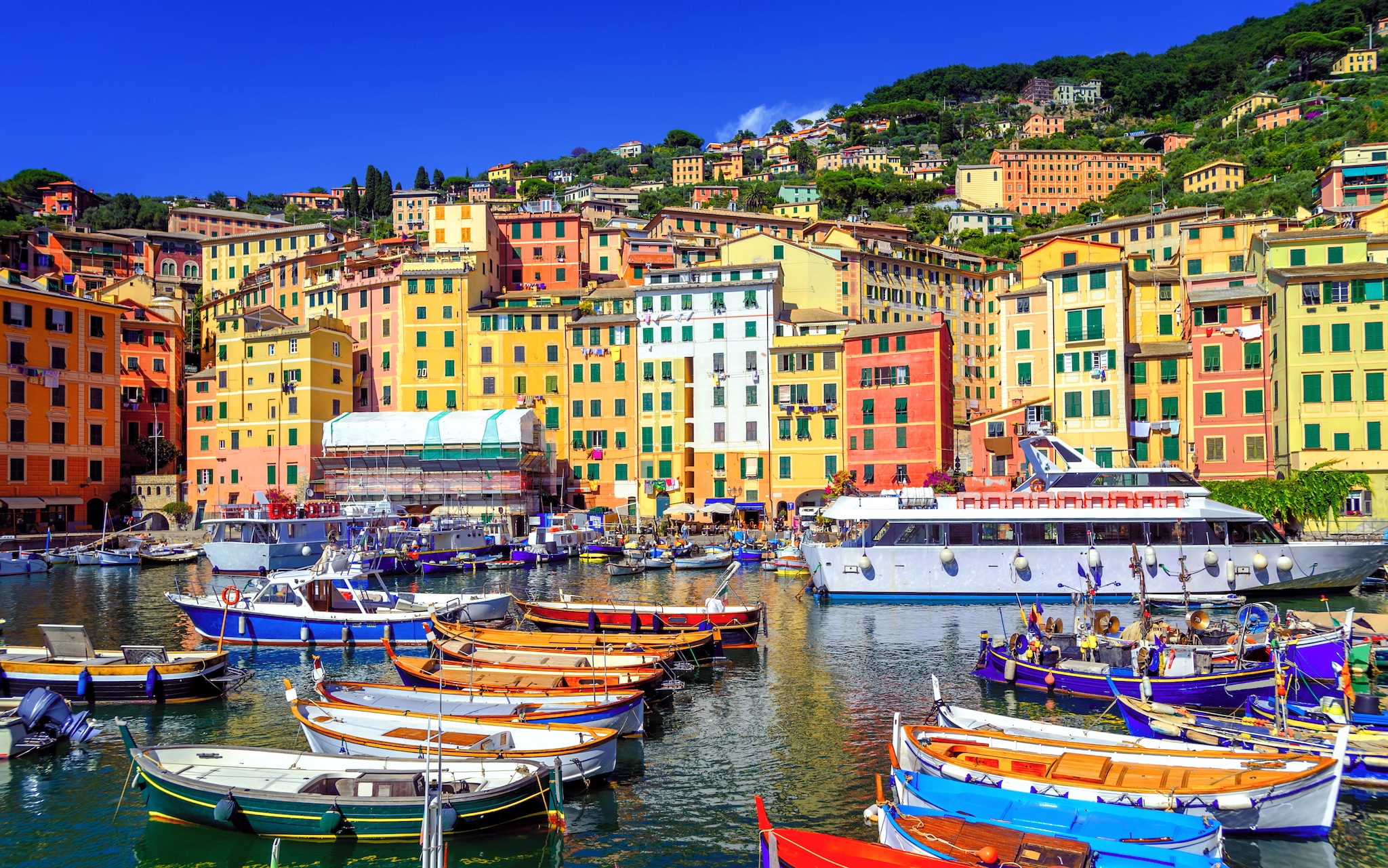 boat tours from genova