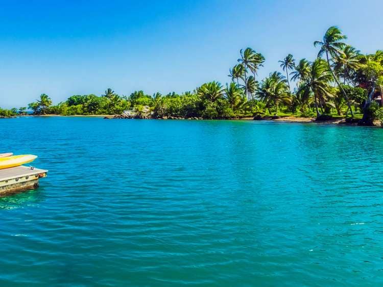 Sea and palm trees in Suva, Fiji
