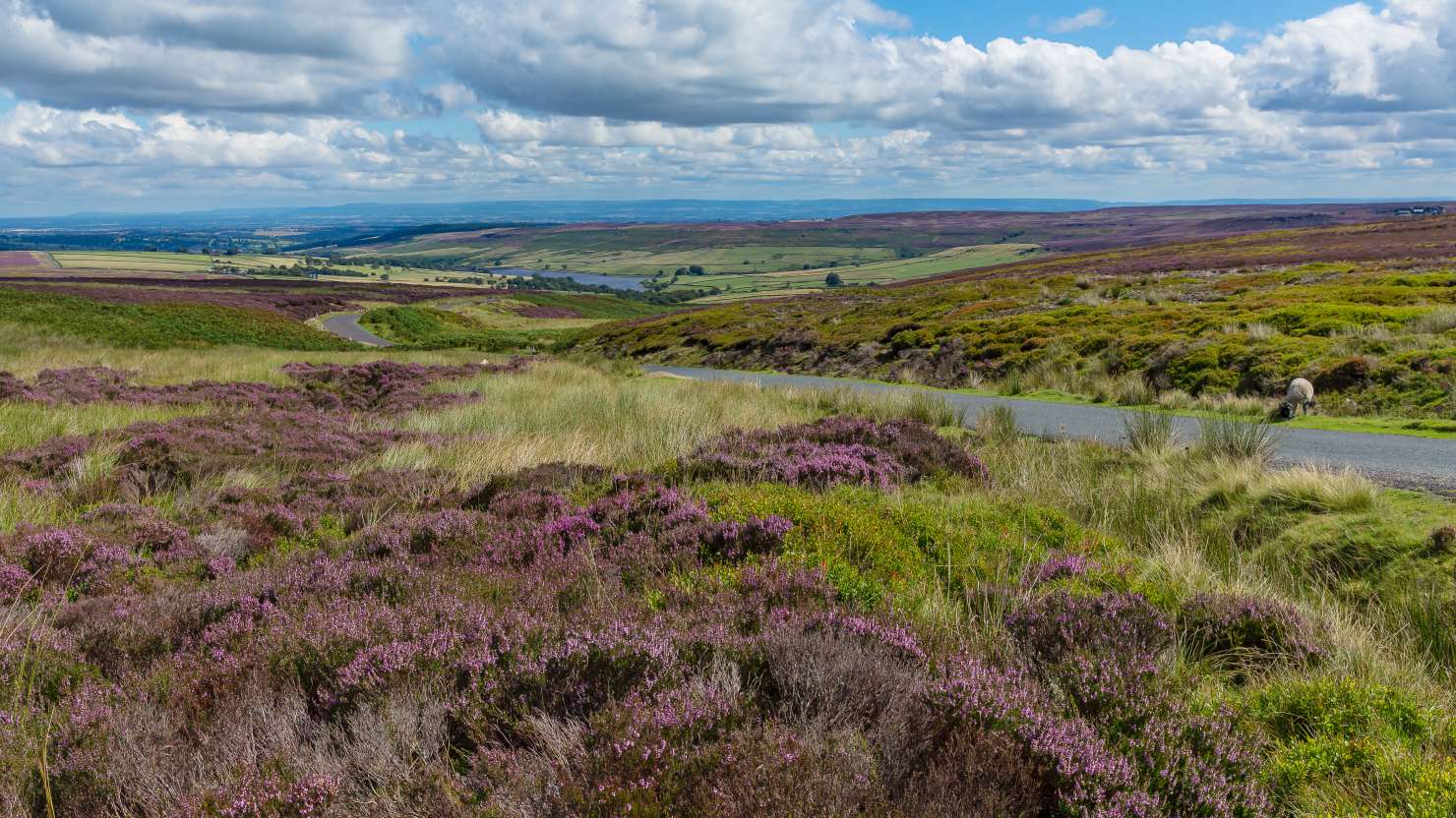 Beautiful scenery near Masham, North Yorkshire