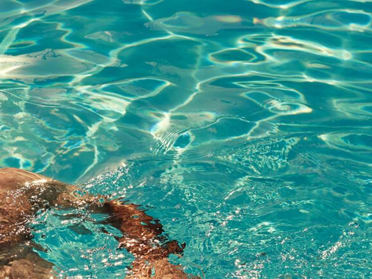 Man enjoying the pool on board P&O Cruises ships