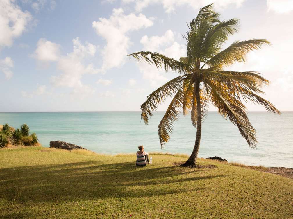 Woman sat by palm tree looking out to sea