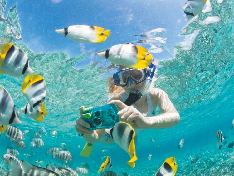 MR/PR Lagoon safari trip to snorkel with marinelife, woman taking underwater pictures of colorful reef fish including the brilliantly colored Pacific Double-saddle butterflyfish (Chaetodon ulietensis)