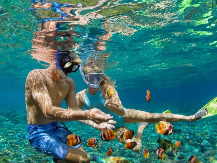Happy family vacation. Young couple in snorkeling mask hold hand, dive underwater with fishes in coral reef sea pool. Travel lifestyle, watersport adventure, swim activity on summer beach holiday