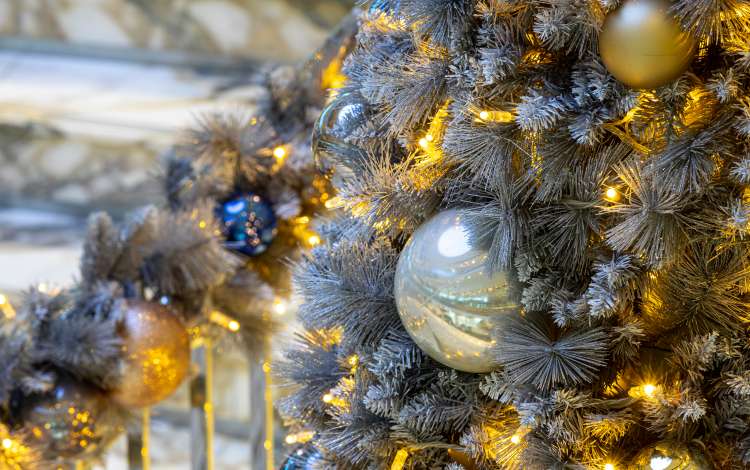 Iona, P and O December 2021, christmas decorations and portraits