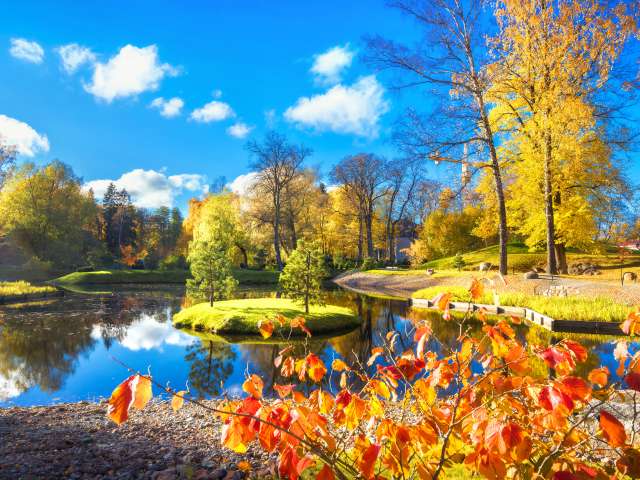 Beautiful landscape with Japanese garden of stones and pond in Kadriorg park at golden autumn. Tallinn, Estonia; Shutterstock ID 1139871839; project: x; job: y; client: ; other: 