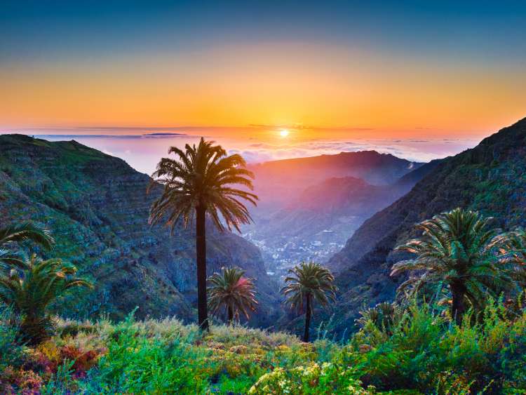 Beautiful view of amazing tropical scenery with exotic palm trees and mountain valleys above wide open sea in golden evening light at sunset with blue sky and clouds in summer, Canary Islands, Spain; Shutterstock ID 512796058; project: olly; job: ; client: pocruises; other: 