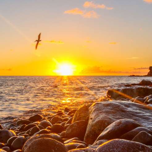 Top tips for St Kitts