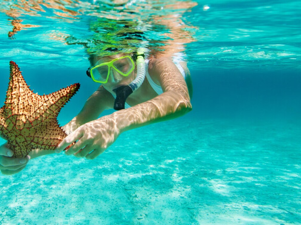 woman swimming with starfish