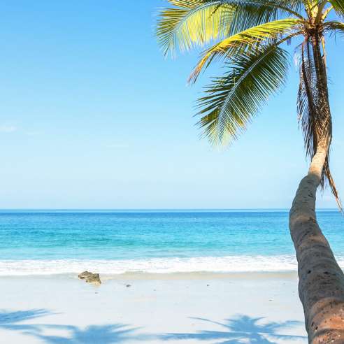 The 5 best things to do in the Caribbean