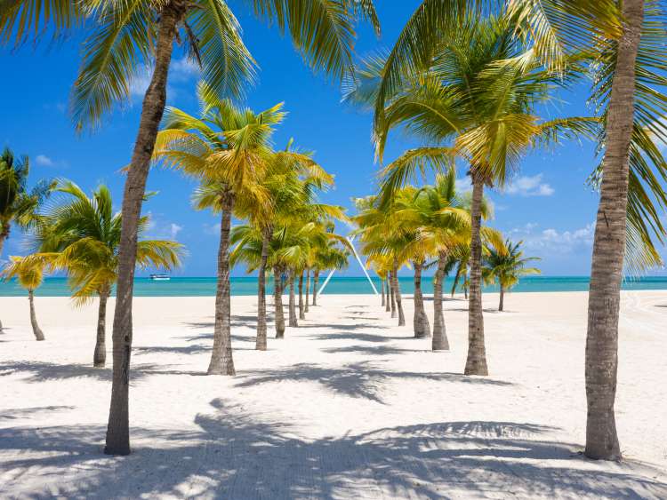 Panoramic idyllic view of palm trees and white sand beach at Cozumel Island, Mexico