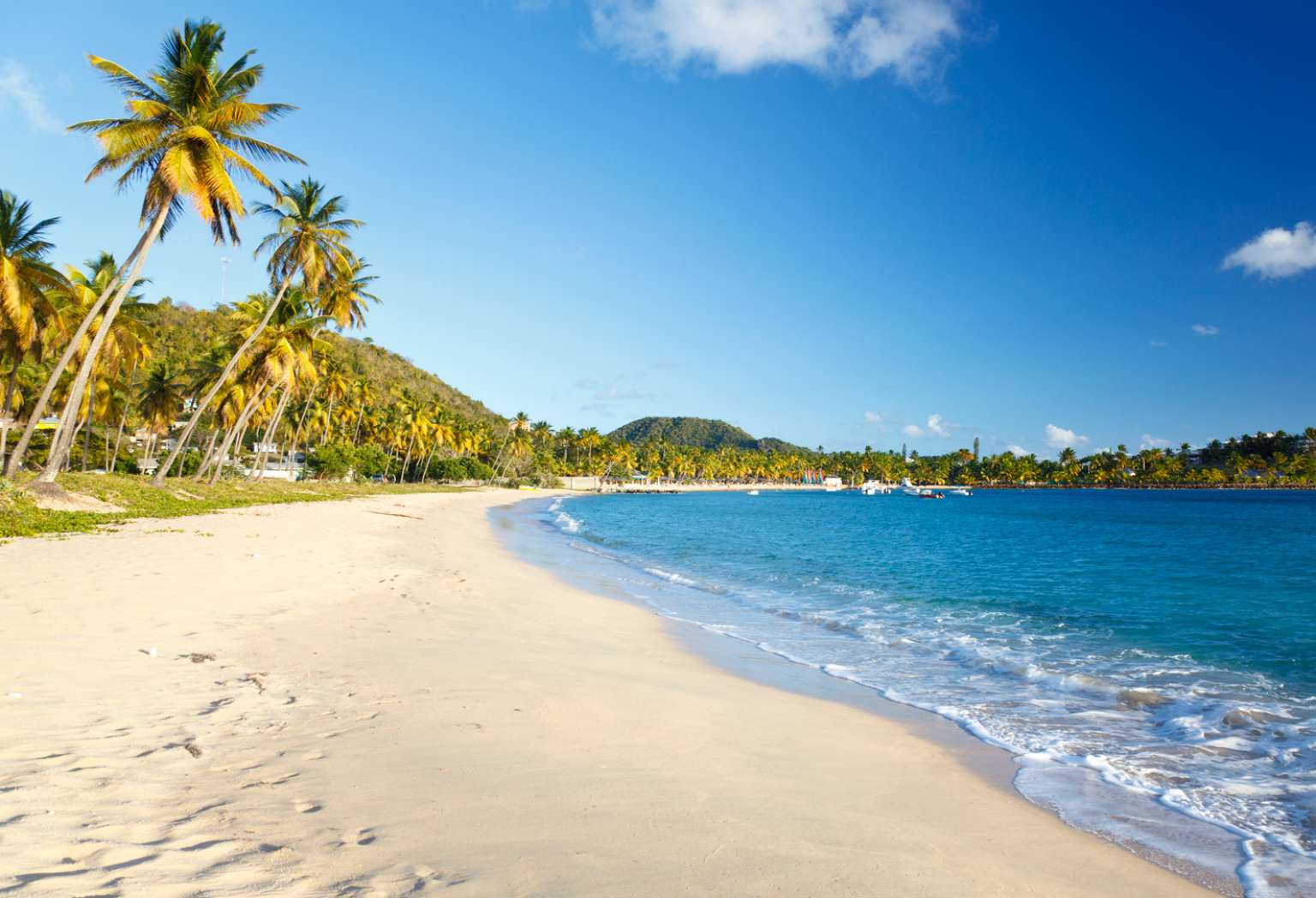 Beach in Antigua