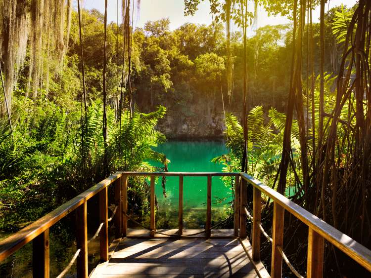 Lake surrounded by trees in the Dominican Republic