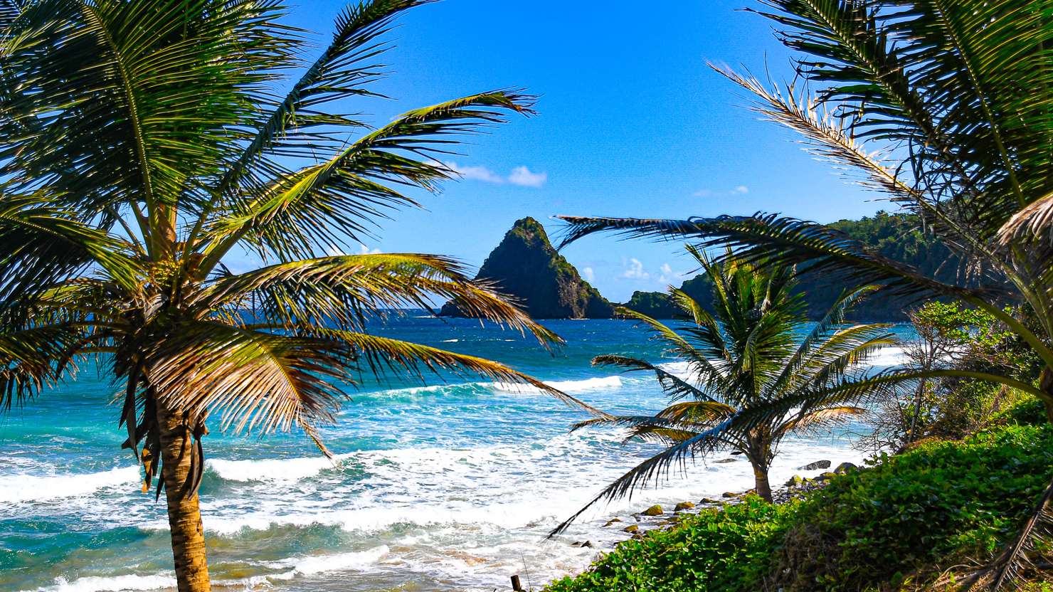 Beach in Martinique 